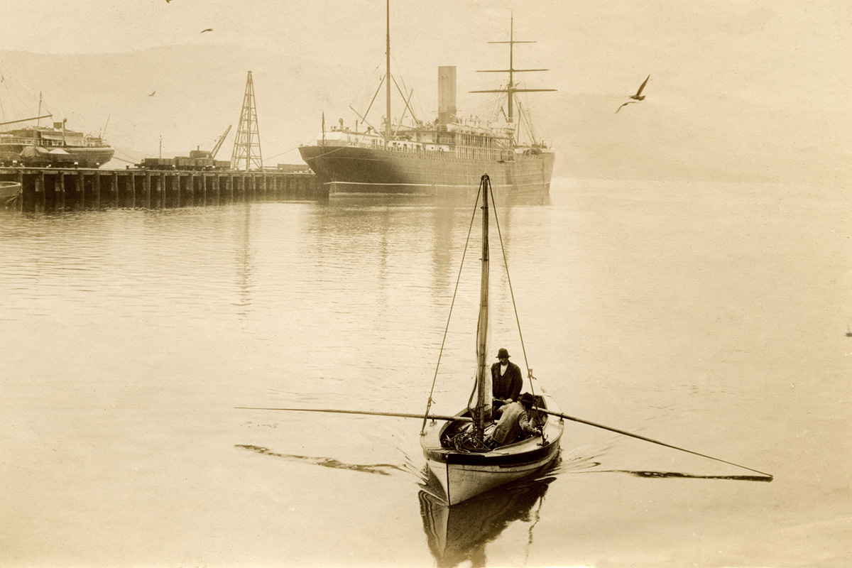 Life on the Edge: Otago Harbour communities